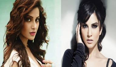 Sunny is hotter than Bipasha: Dino Morea
